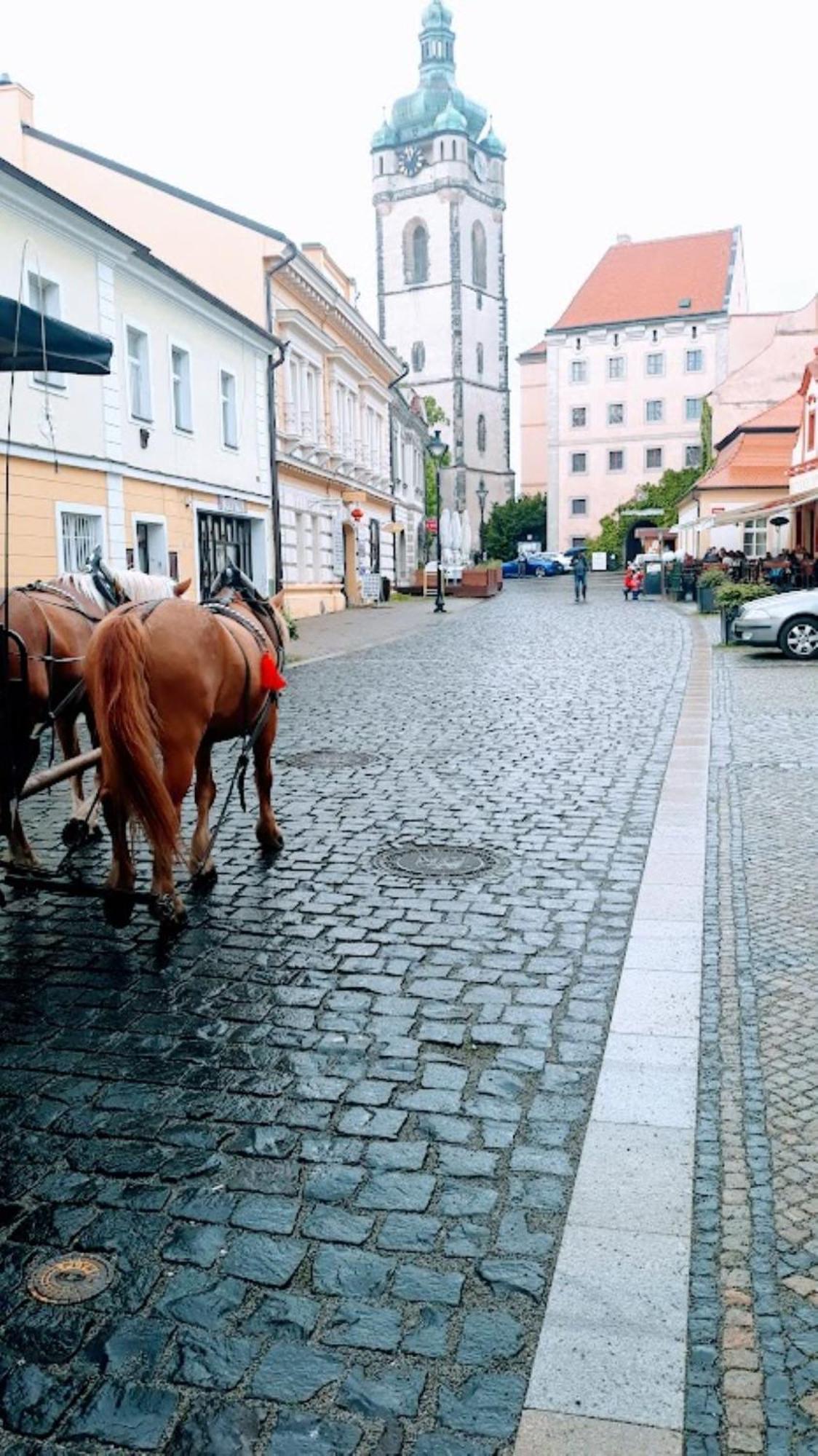 Lev I Sova Lejlighedshotel Mělník Eksteriør billede